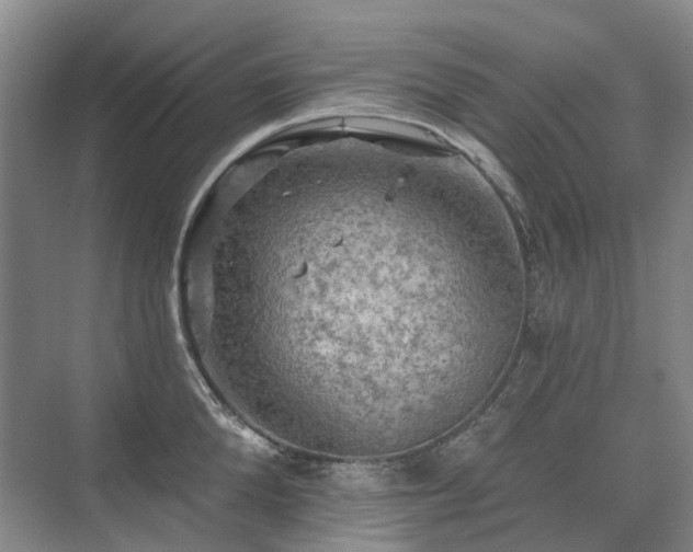 X0000075830904200609151235