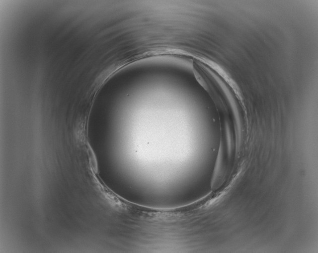 X0000075830905200609151235