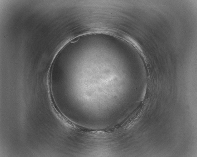 X0000075830907200609151235