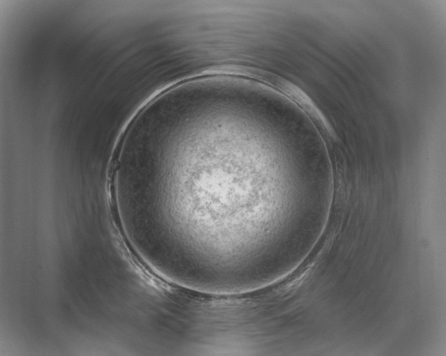 X0000075830908200609151235