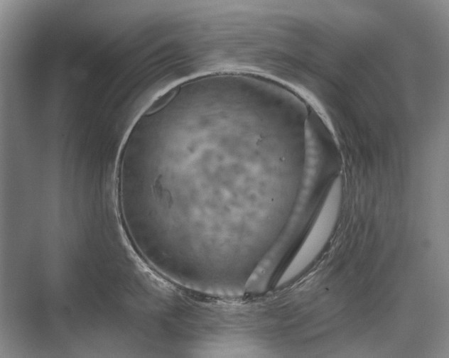 X0000075830911200609151235