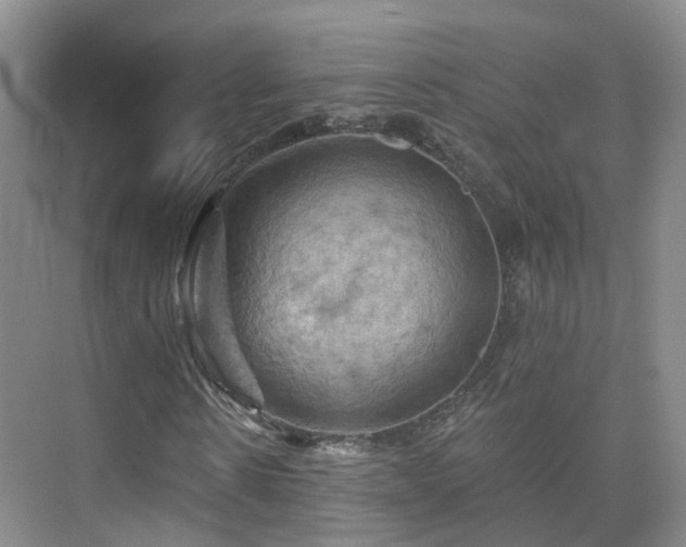 X0000075830914200609151234