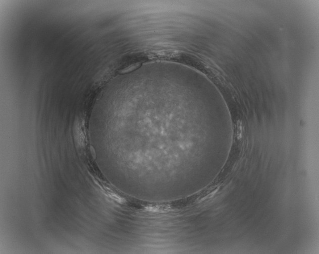 X0000075830915200609151234