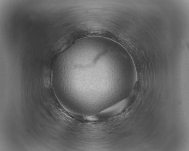 X0000075830916200609151234