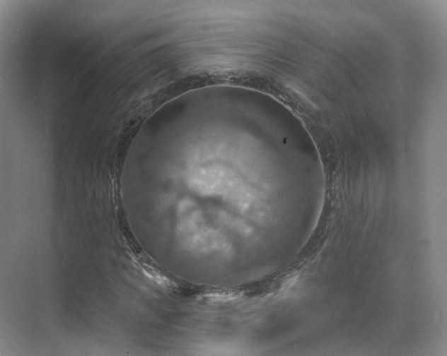 X0000075830917200609151234