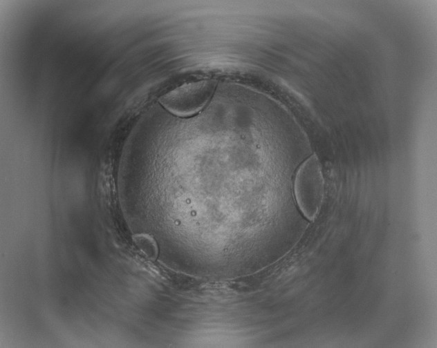 X0000075830918200609151234