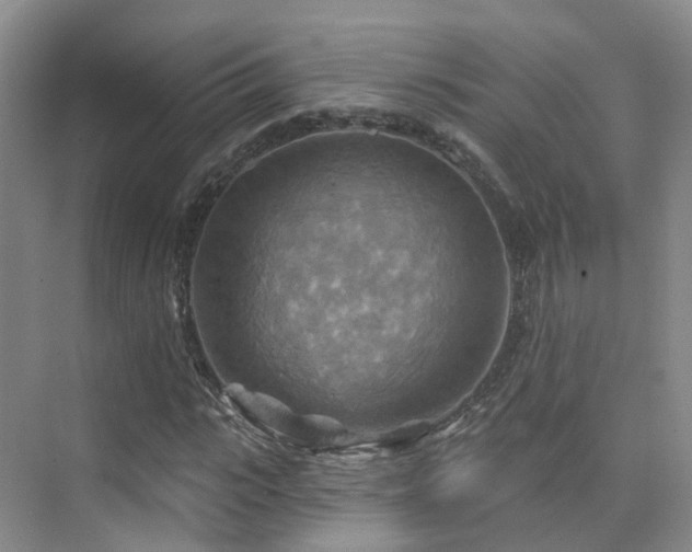 X0000075830919200609151234