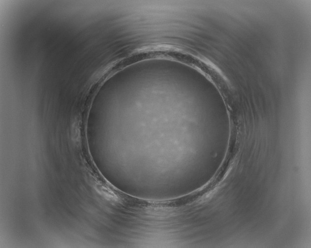 X0000075830921200609151234