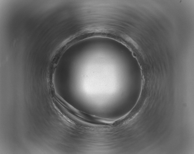 X0000075830922200609151234