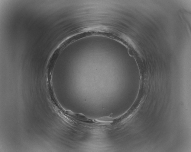 X0000075830923200609151234