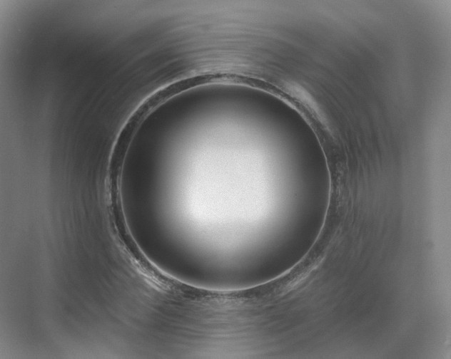 X0000075830924200609151234