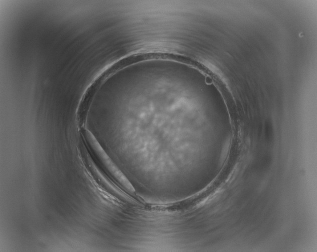 X0000075830925200609151234