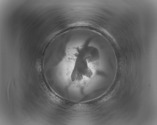 X0000075830929200609151234