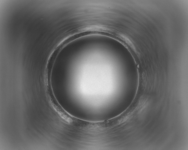 X0000075830931200609151234