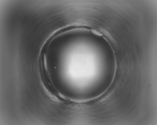 X0000075830934200609151235