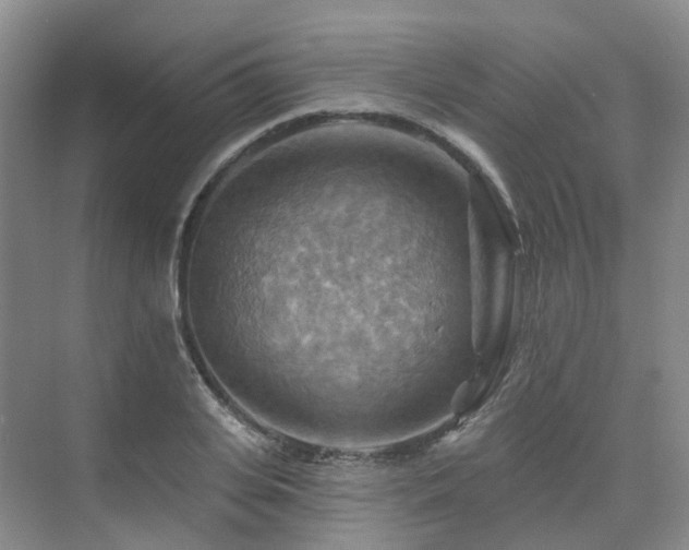 X0000075830935200609151235