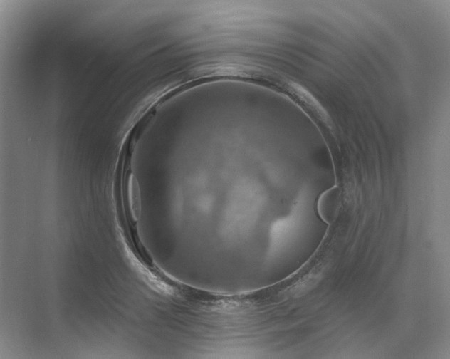 X0000075830938200609151235