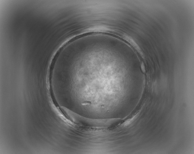 X0000075830939200609151235