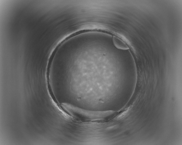 X0000075830943200609151235