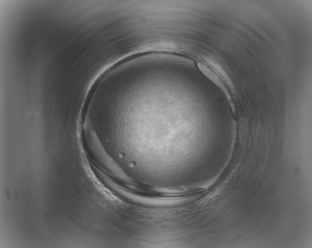 X0000075830944200609151235