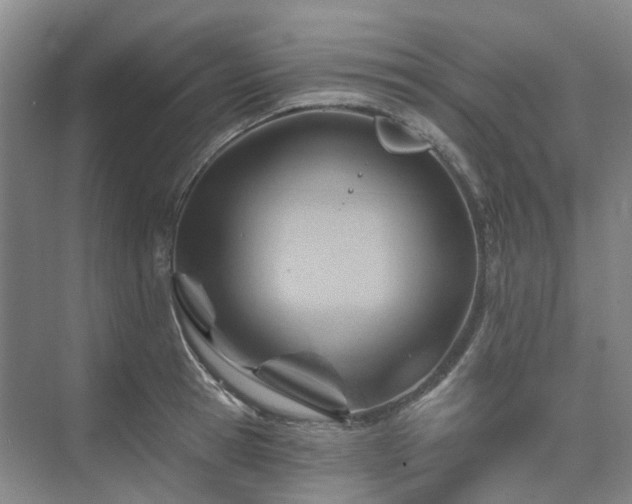 X0000075830945200609151235