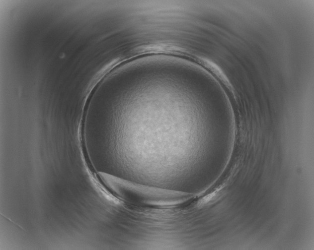 X0000075830946200609151235