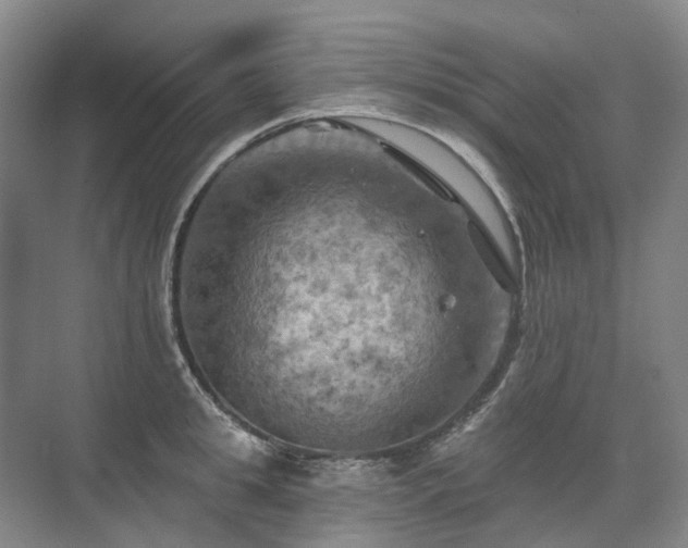 X0000075830949200609151235