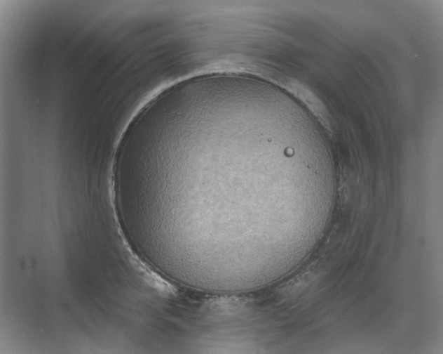 X0000075830950200609151235