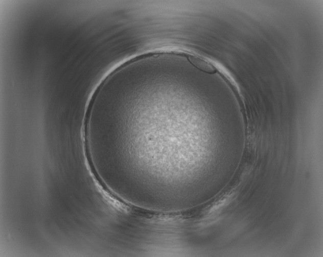 X0000075830951200609151235