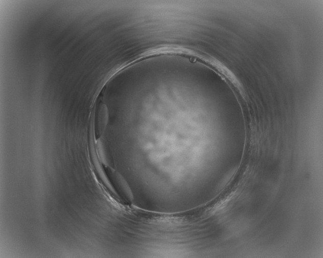 X0000075830953200609151235