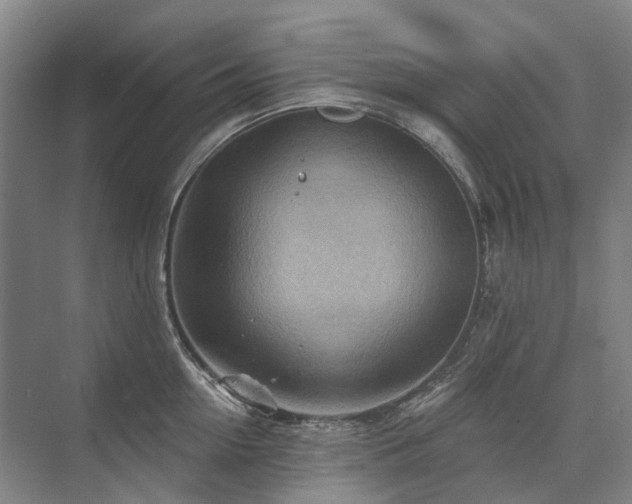 X0000075830954200609151235