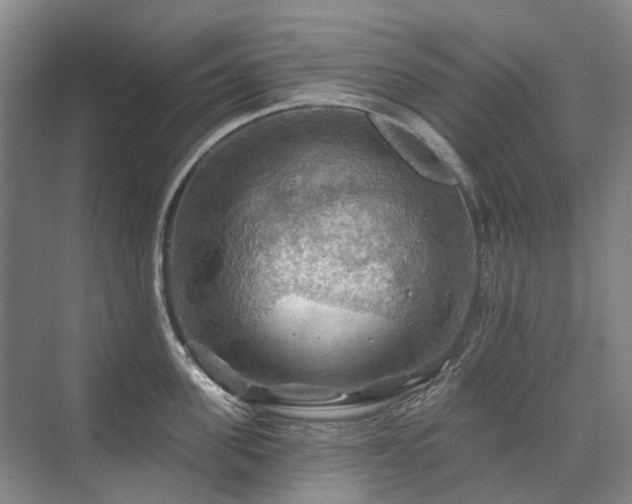 X0000075830955200609151235