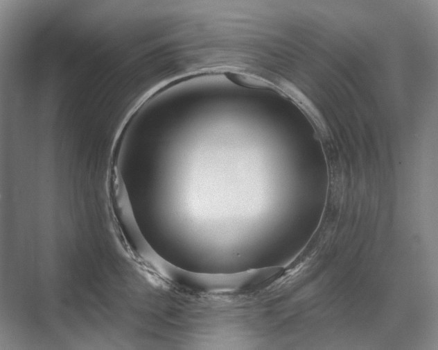 X0000075830956200609151235