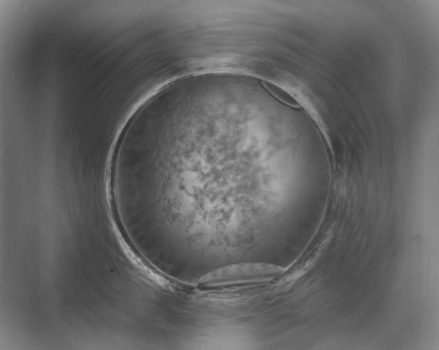 X0000075830957200609151235