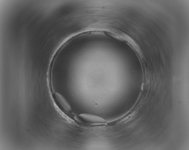 X0000075830958200609151235