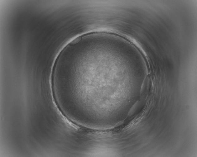 X0000075830959200609151235