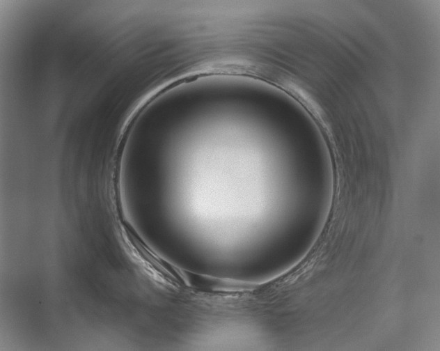 X0000075830960200609151235