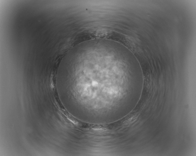 X0000075830962200609151234