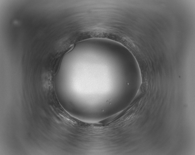 X0000075830964200609151234