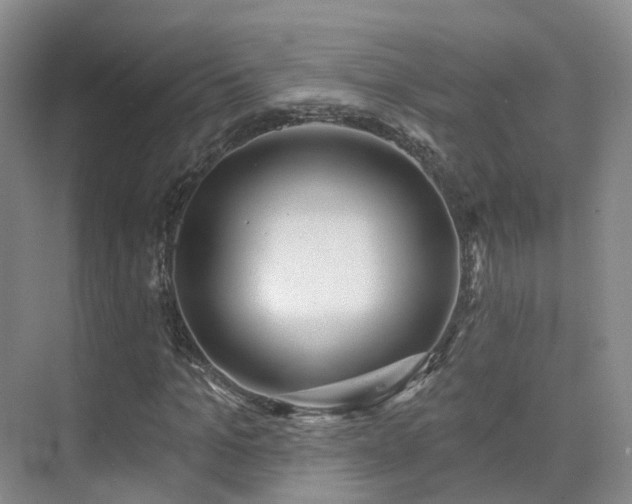 X0000075830965200609151234