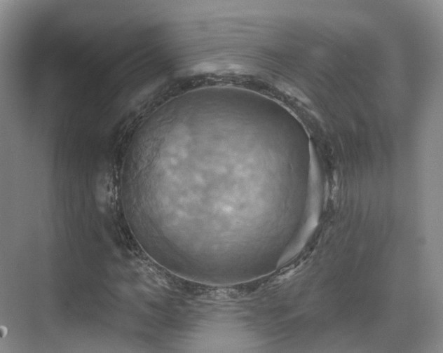 X0000075830966200609151234