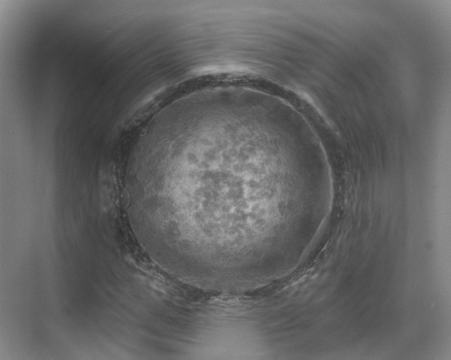 X0000075830967200609151234