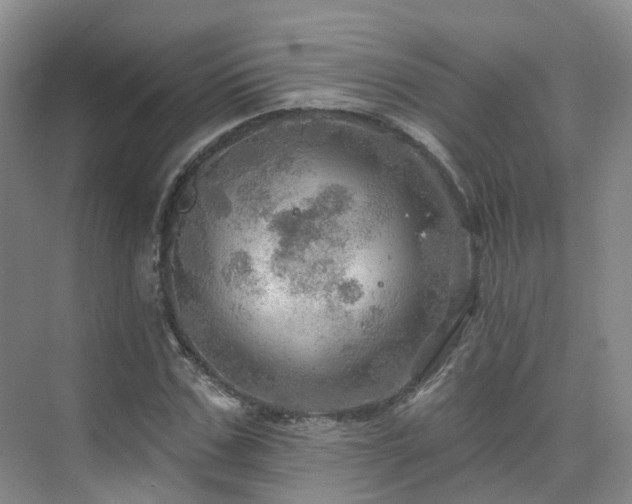 X0000075830971200609151234