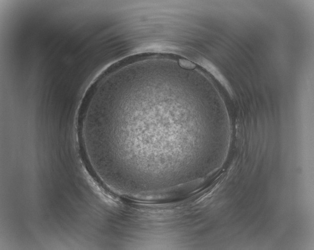 X0000075830972200609151234