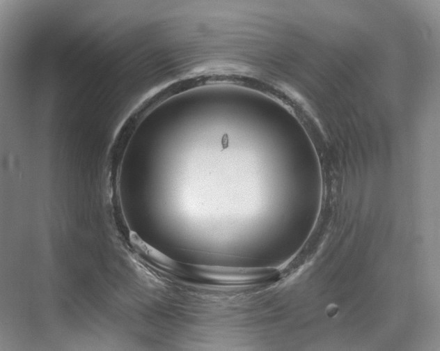 X0000075830973200609151234