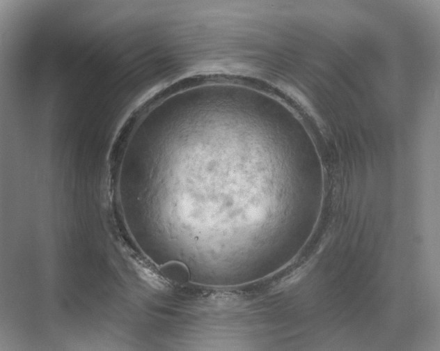 X0000075830974200609151234