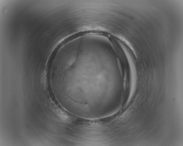 X0000075830975200609151234