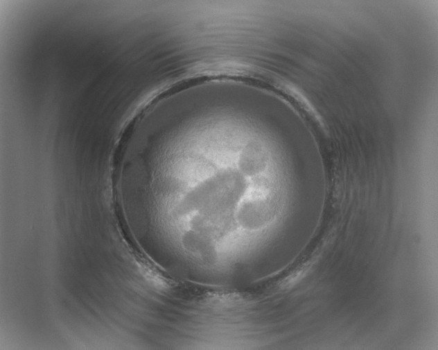 X0000075830978200609151234