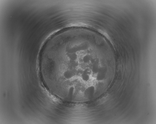 X0000075830979200609151234