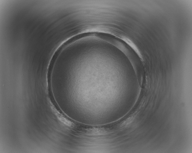 X0000075830980200609151234